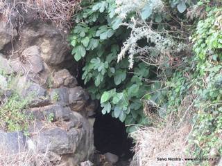 lto del Pecoraio30-05-2014 18-08-31